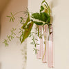 Soliflores muraux en verre - Pigments