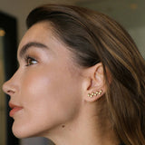 Contours Niva - Pigments