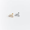 Piercing - LA BRILLANTE - Pigments