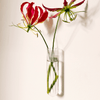 Soliflores muraux cannelés XL - Pigments