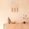 Suspension luce - Pigments