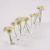 Vase semainier - Pigments