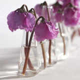 Vase semainier - Pigments