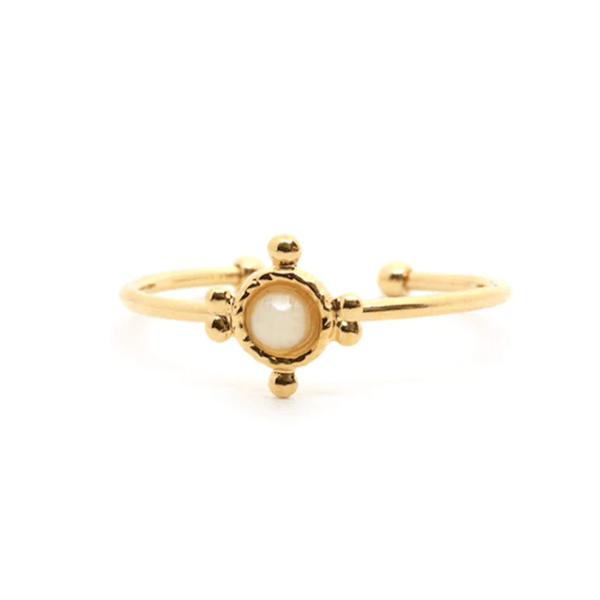 BAGUE GAYA NACRE - Pigments