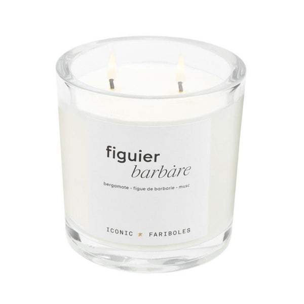 Bougie Figuier Barbare - Pigments