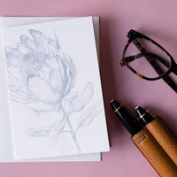 CARTE POSTALE KING PROTEA - Pigments
