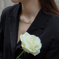 COLLIER APOLLON - Pigments